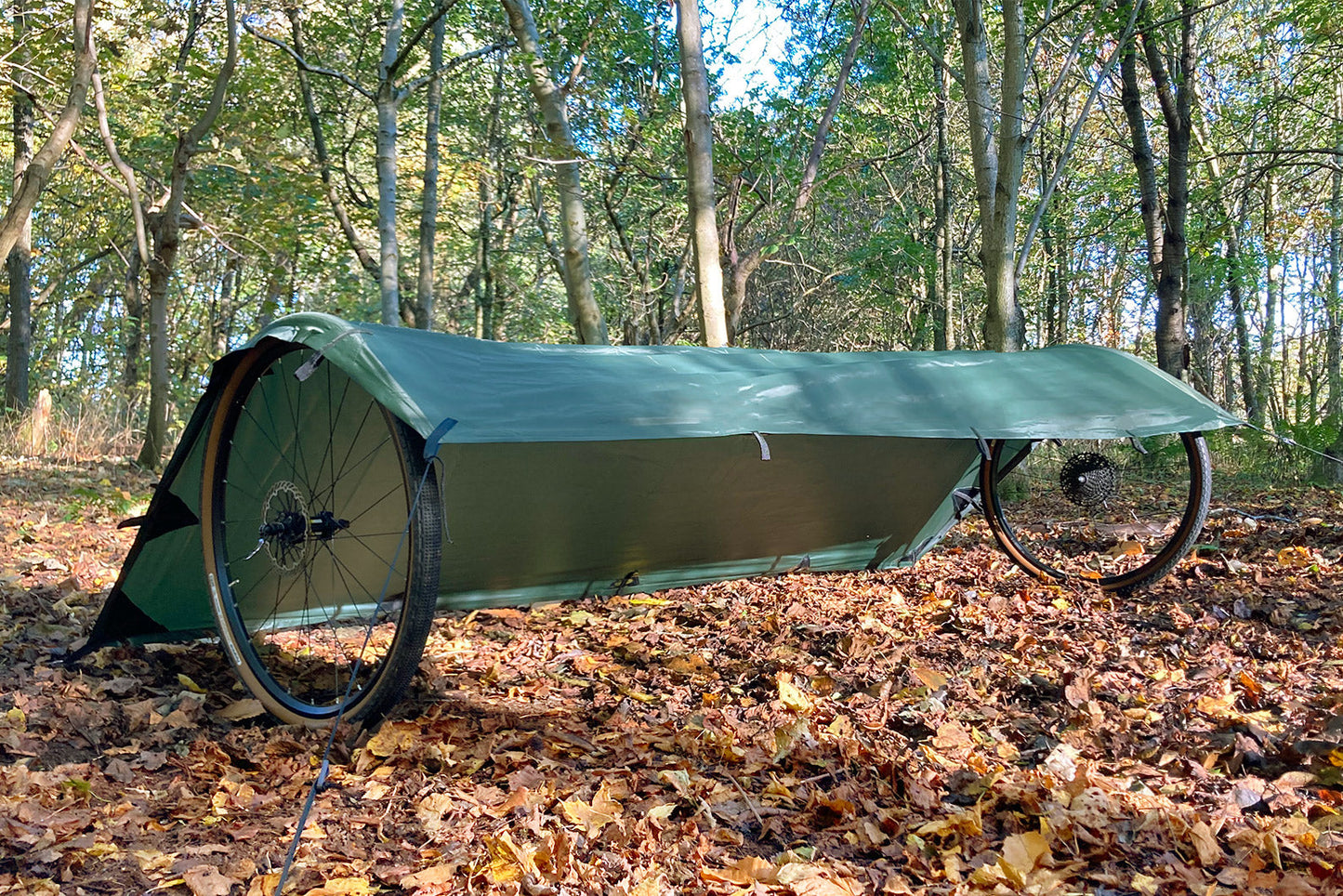 DD Tarp S