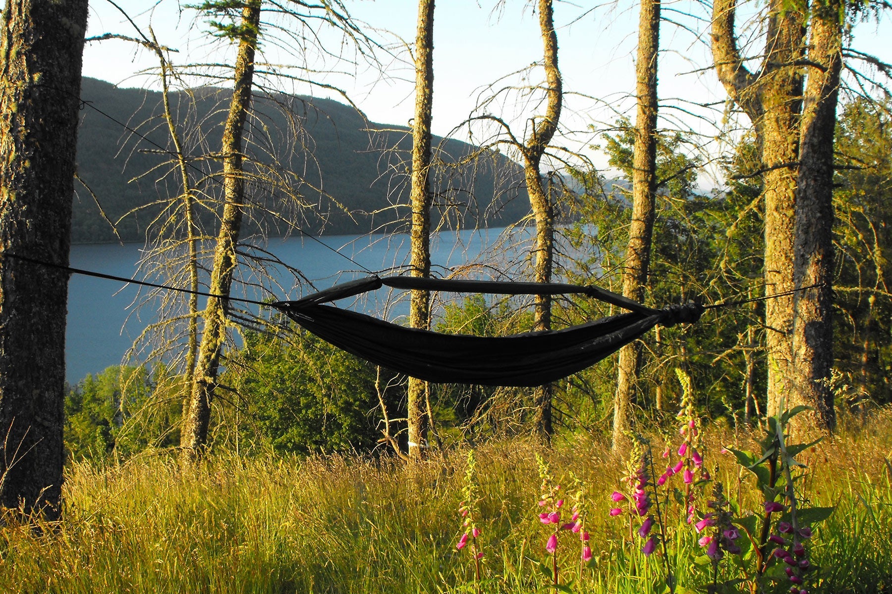 DD Hammocks JAPAN | 日本公式サイト