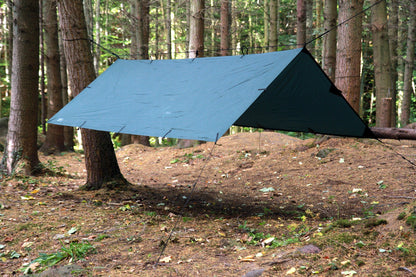 DD Tarp M
