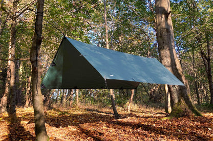 DD Tarp M