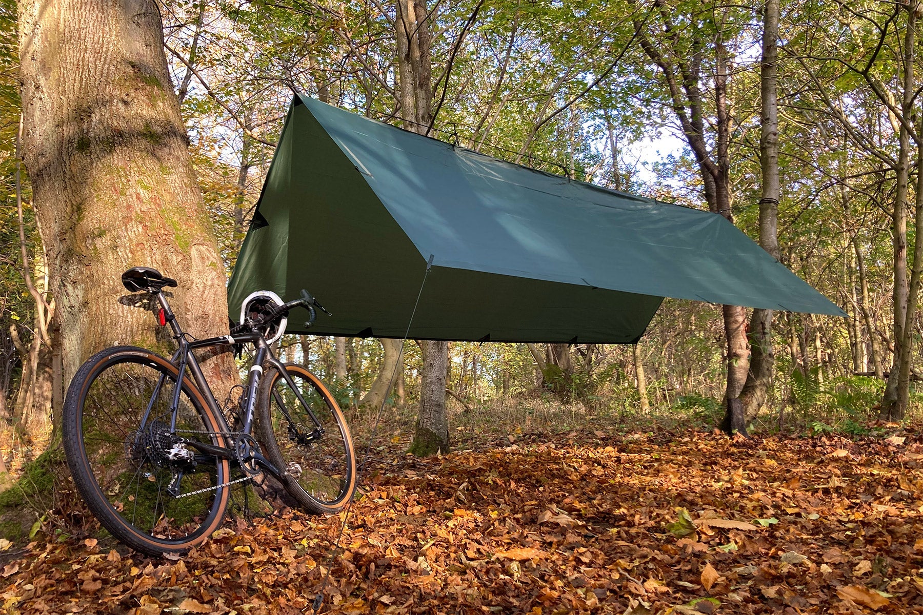 DD Hammocks DD Tarp 5x5 (オリーブグリーン) タープ 5x5・オリーブグリーン | DD Hammocks JAPAN
