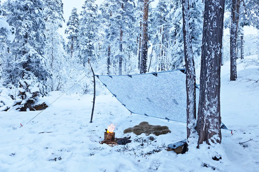 DD Tarp S - Winter MC
