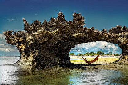 DD Chill Out Hammock