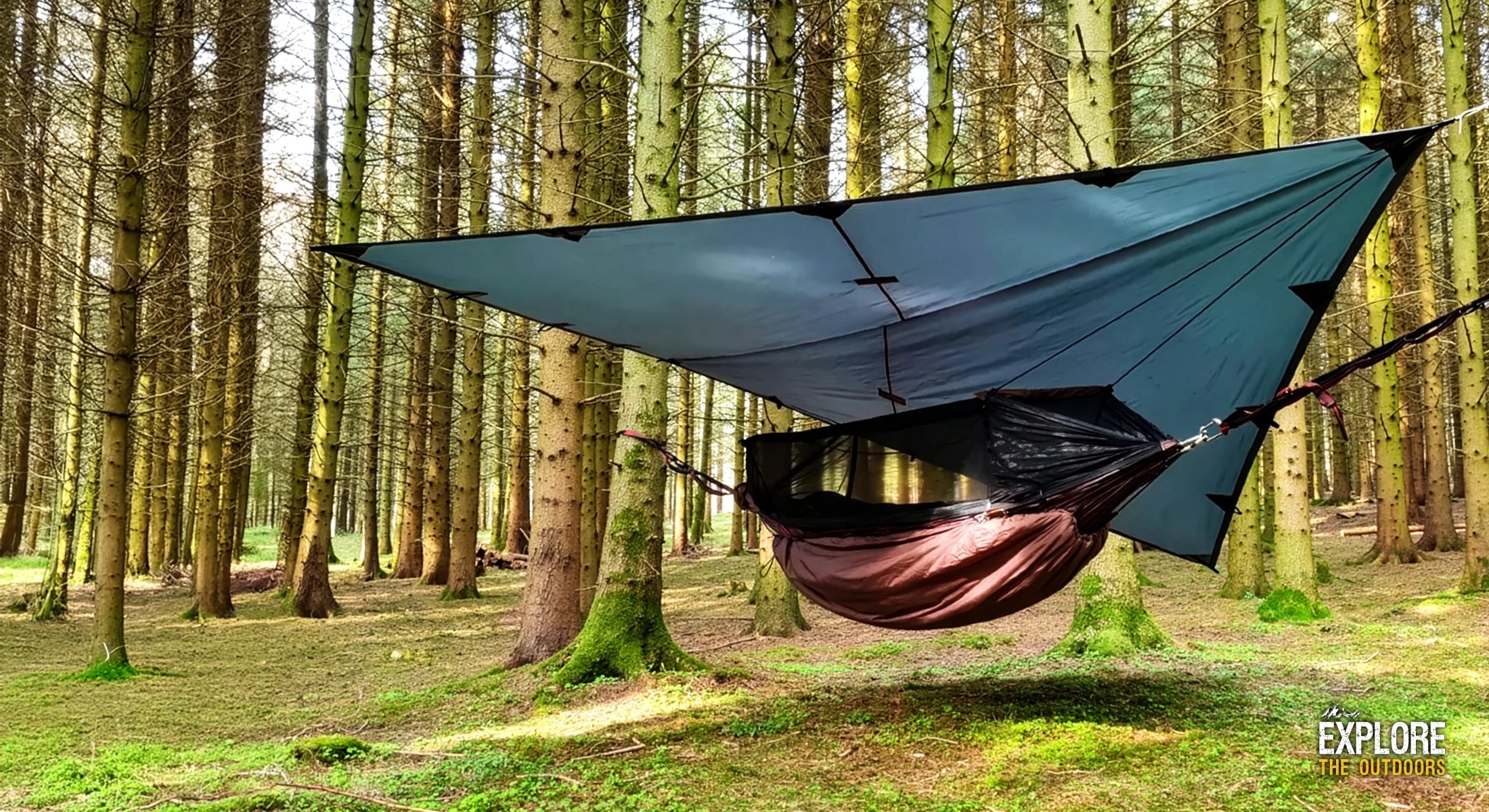 森に張ったDDハンモックとタープ